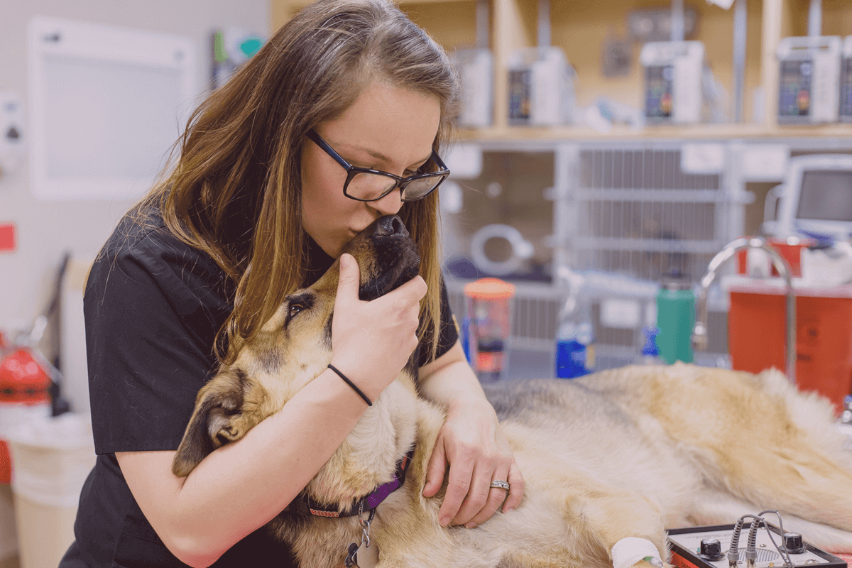 ICU and Lead nurse, Lauren with patient